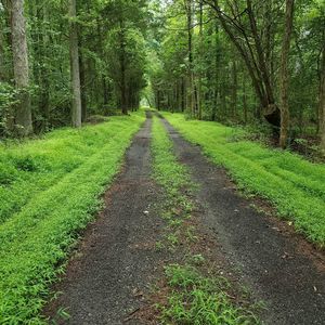 Meet your Posher, Katrina